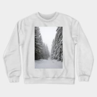 Winter Forest Crewneck Sweatshirt